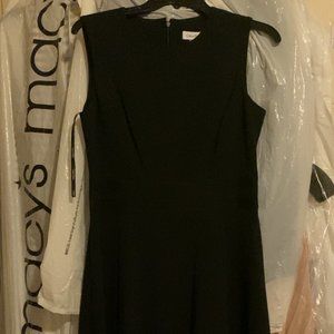 Calvin Klein Dress with Sheer Panels